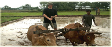 Agriculture Program